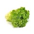 Picture of Lettuce - Organic 100gm