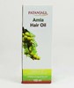 Picture of Patanjali Amla Hair Oil 100 Ml