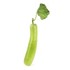 Picture of Bottle Gourd/Dudhi 250gm