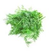Picture of Dill/Shepu 150gm